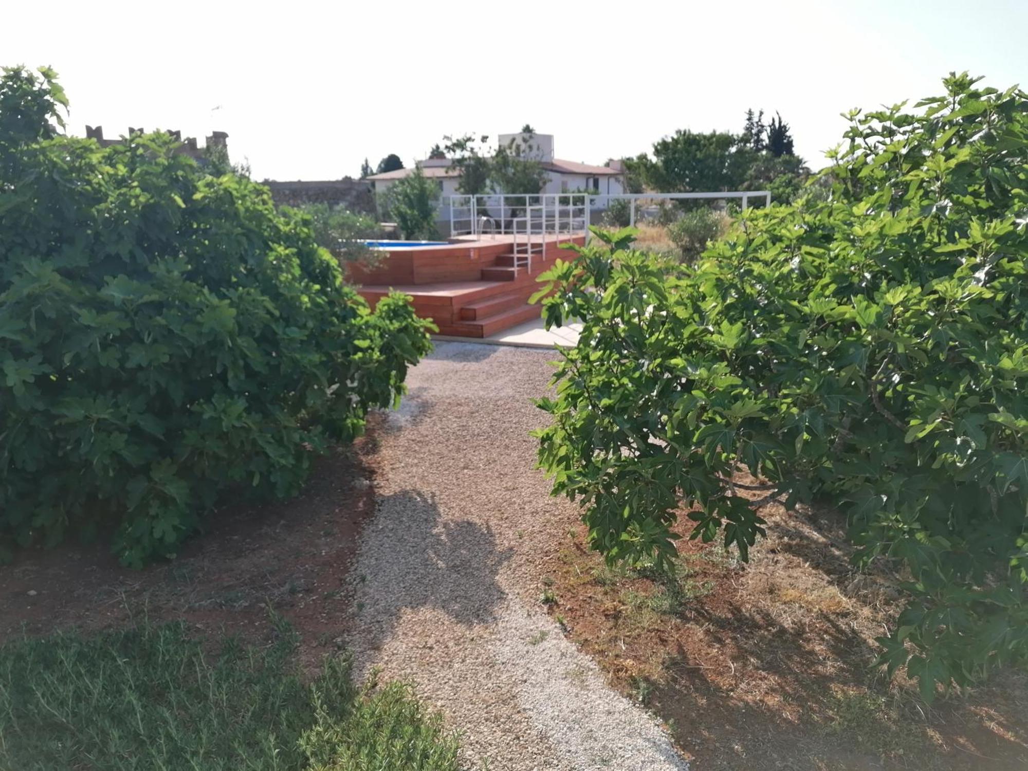 Villa Le Site Racale Esterno foto